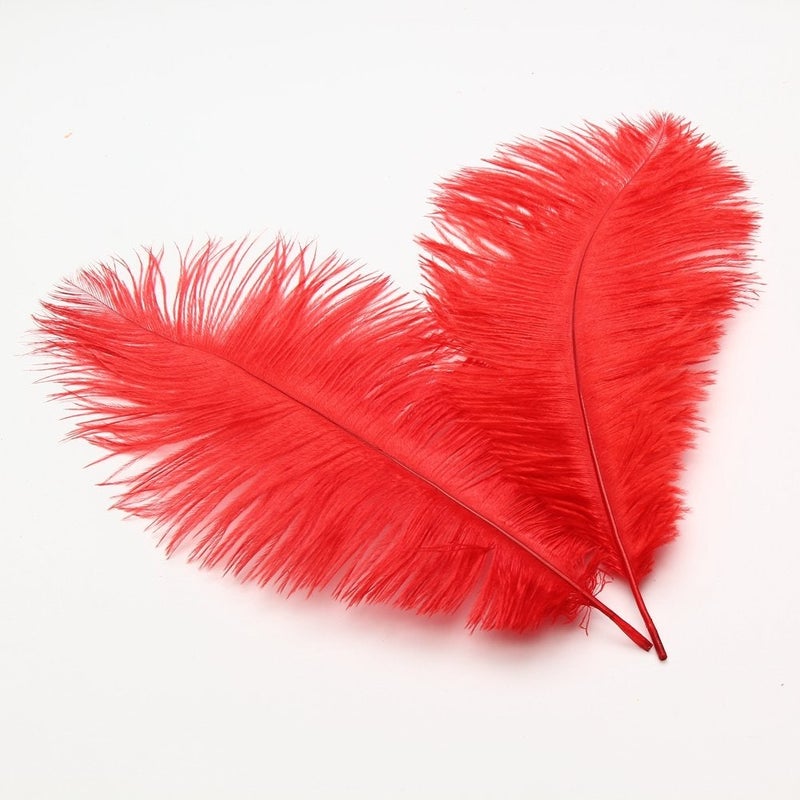 Sowder 810inch2025cm Ostrich Feathers Plume for Wedding Centerpieces Home Decoration Pack of 10pcsred