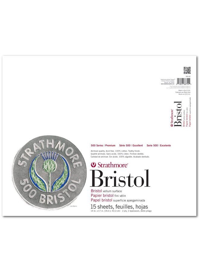 (580-82 500 Series Bristol, 2-Ply Vellum Surface, 14"x17", Gray, 15 Sheets