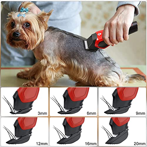 Solimpia Electric Pet Grooming Trimmer Kit - Rechargeable Cordless Low Noise Professional Pet Hair Trimmer Set for Dogs and Cats - Image 5