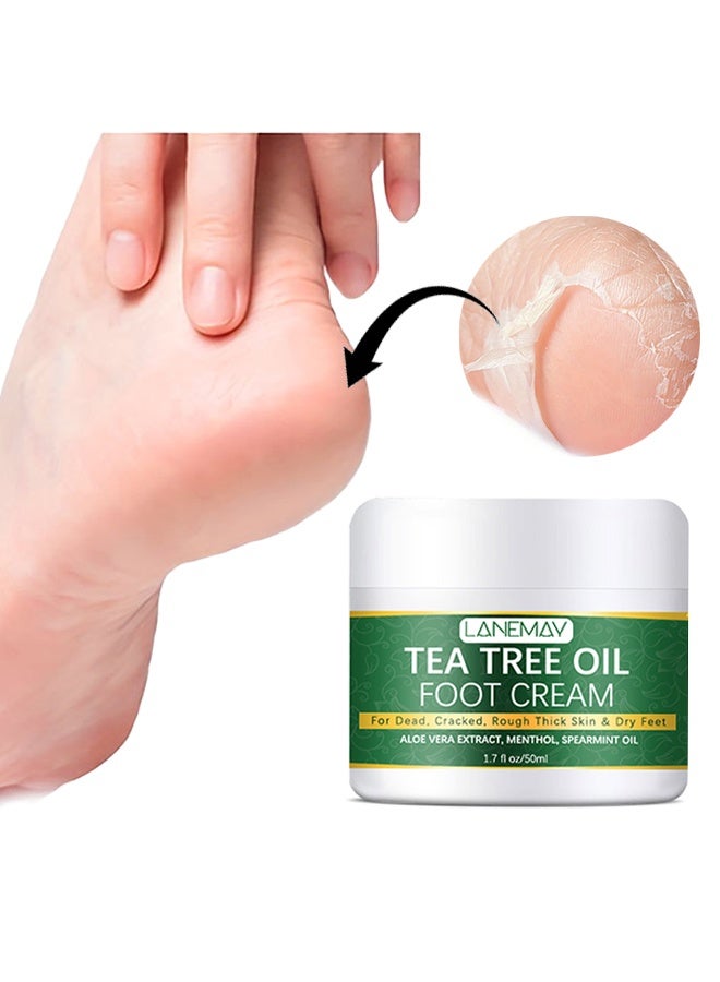 LANEMAY Tea Tree Oil Foot Cream,Cracked Heel Cream For Dead, Cracked,Rough Thick Skin & Dry Feet , Callus Remover Foot Cream , Intensive Moisturizes & Softens Skin, 50ml - Image 1