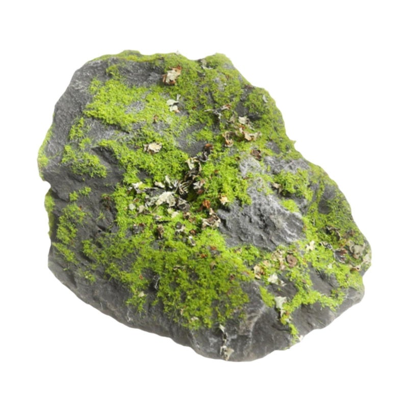 صخور مغطاة خفيفة الوزن مقاس 17x17x12 سم لمشاريع الفصل الدراسي لترتيبات النباتات DIY - Image 2