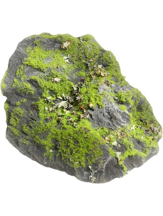 صخور مغطاة خفيفة الوزن مقاس 17x17x12 سم لمشاريع الفصل الدراسي لترتيبات النباتات DIY - Image 1