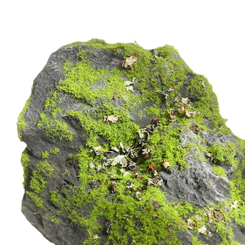صخور مغطاة خفيفة الوزن مقاس 17x17x12 سم لمشاريع الفصل الدراسي لترتيبات النباتات DIY - Image 3