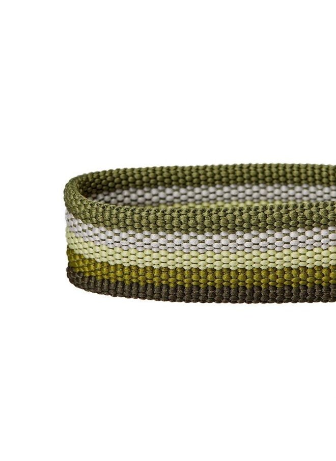 Blueberry Pet Multi-Colored Stripe Adjustable Dog Collar, Olive, Medium, Neck 14.5"-20"  - Image 2