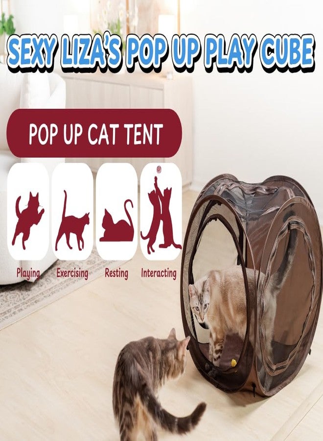 Snarky Pets Pop Up Cat Tent Cube 24x22x20 - Image 4