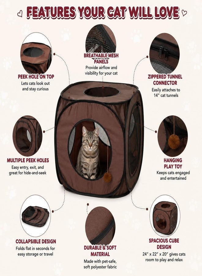 Snarky Pets Pop Up Cat Tent Cube 24x22x20 - Image 2