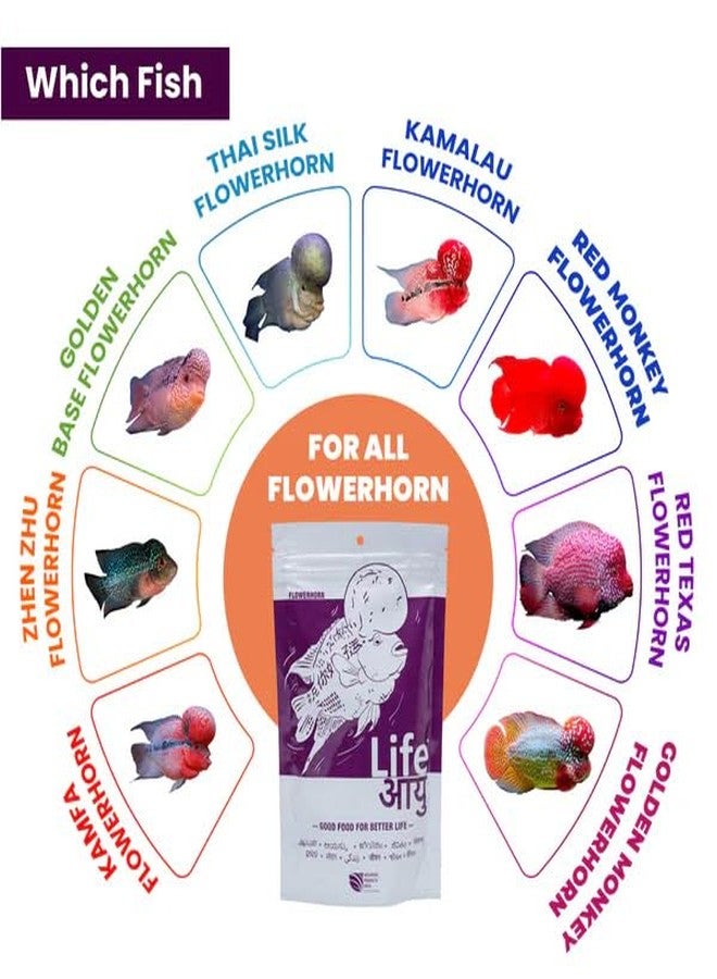 THE BRREED Aquarium Products India Life AAYU -FLOWERHORN 100 Grams (Medium), Adult, Pellet, fish - Image 4