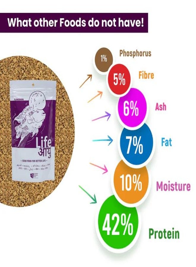 THE BRREED Aquarium Products India Life AAYU -FLOWERHORN 100 Grams (Medium), Adult, Pellet, fish - Image 5