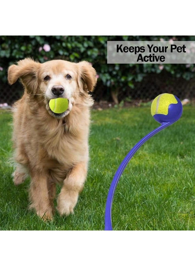 Emily Pets Dog Ball Launcher For Dogs Chase Fetch Game Toys Throw Tennis Ball Portable Hands Free Ball Thrower Pick Up And Throw Play Tennis Ball Chucker Dog Play Fetch Toys - Image 3