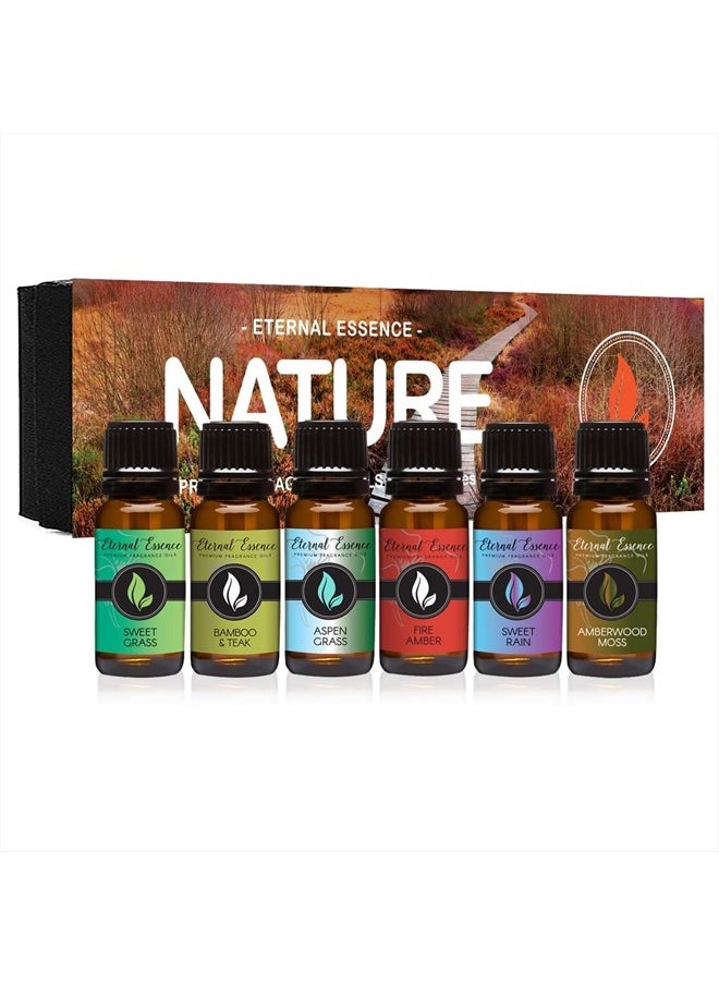 Eternal Essence Oils - Nature - Gift Set of 6 Premium Fragrance Oils - Sweet Grass, Aspen Grass, Fire Amber, Sweet Rain, Bamboo & Teak and Amberwood Moss - 10ML - Image 1