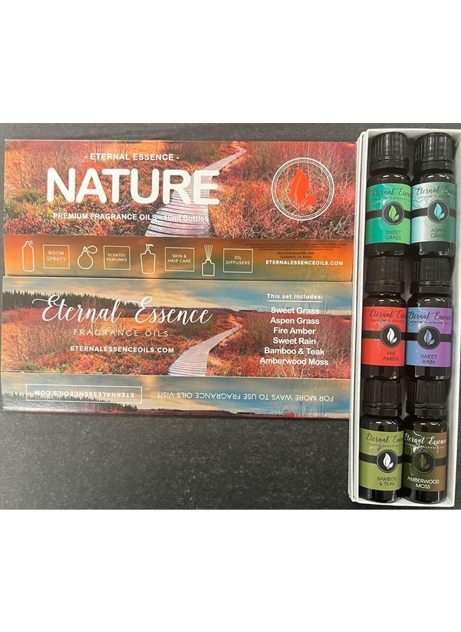 Eternal Essence Oils - Nature - Gift Set of 6 Premium Fragrance Oils - Sweet Grass, Aspen Grass, Fire Amber, Sweet Rain, Bamboo & Teak and Amberwood Moss - 10ML - Image 1