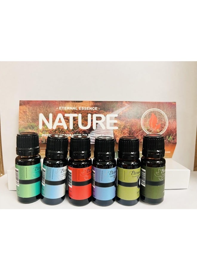 Eternal Essence Oils - Nature - Gift Set of 6 Premium Fragrance Oils - Sweet Grass, Aspen Grass, Fire Amber, Sweet Rain, Bamboo & Teak and Amberwood Moss - 10ML - Image 1
