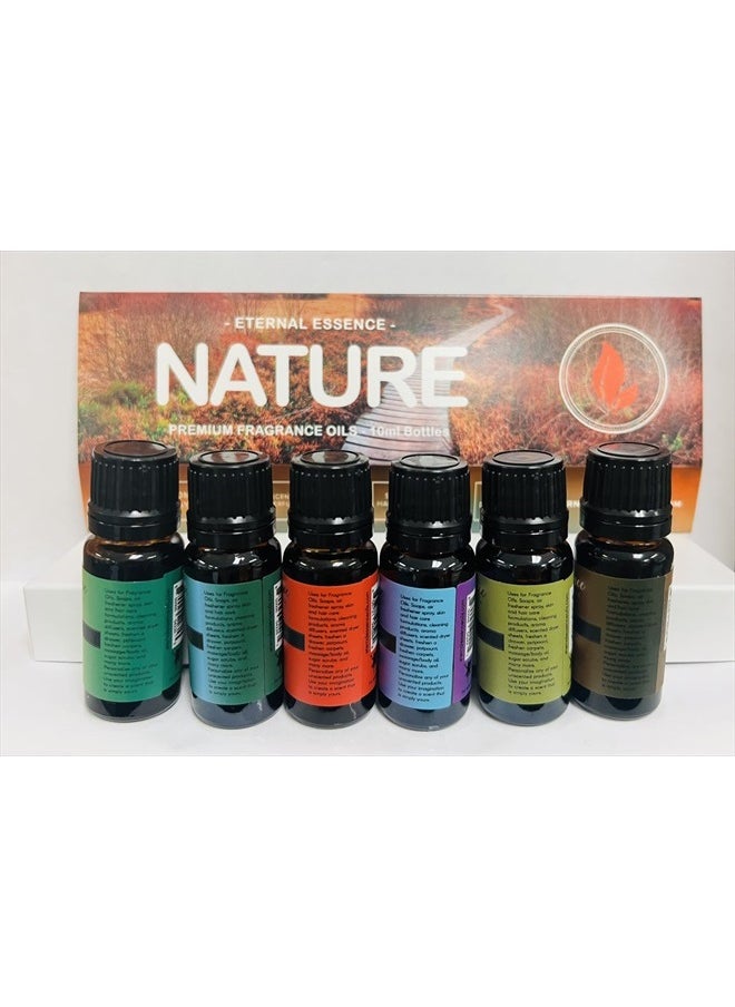 Eternal Essence Oils - Nature - Gift Set of 6 Premium Fragrance Oils - Sweet Grass, Aspen Grass, Fire Amber, Sweet Rain, Bamboo & Teak and Amberwood Moss - 10ML - Image 1