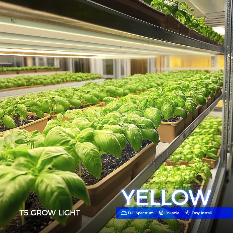 Barrina T5 Grow Lights for Indoor Plants, Full Spectrum, 4ft 160W (8 x 20W, 1000W Equivalent), Plant Growing Lamps, Plant Lights for Indoor Plants, Greenhouse, Plug and Play, Yellow 8-Pack - Image 2