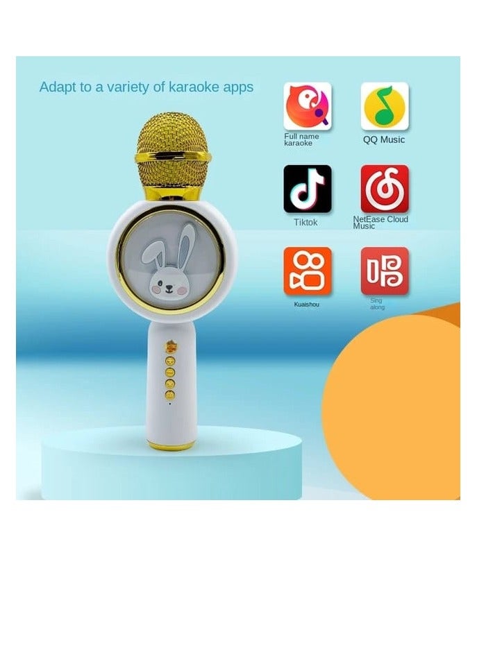 جريس ميكروفون للأطفال للغناء، ميكروفون كاريوكي لاسلكي يعمل بالبلوتوث، مكبر صوت TF، ميكروفون كاريوكي محمول باليد، متعدد الألوان - Image 5