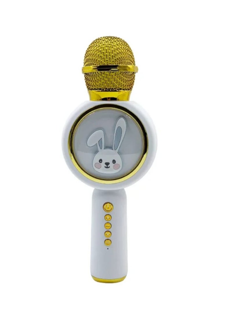 جريس ميكروفون للأطفال للغناء، ميكروفون كاريوكي لاسلكي يعمل بالبلوتوث، مكبر صوت TF، ميكروفون كاريوكي محمول باليد، متعدد الألوان - Image 3