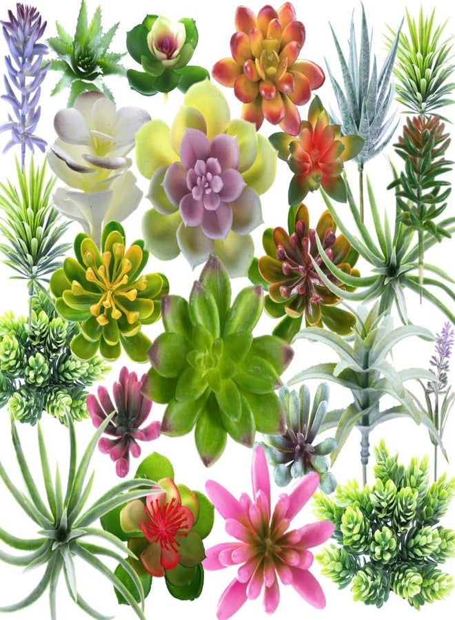 COTSEN Artificial Succulent Plants 24 Pack Fake Succulents Unpotted Realistic Faux Succulent Face Succulent Apply Family Wedding Decor - Image 1