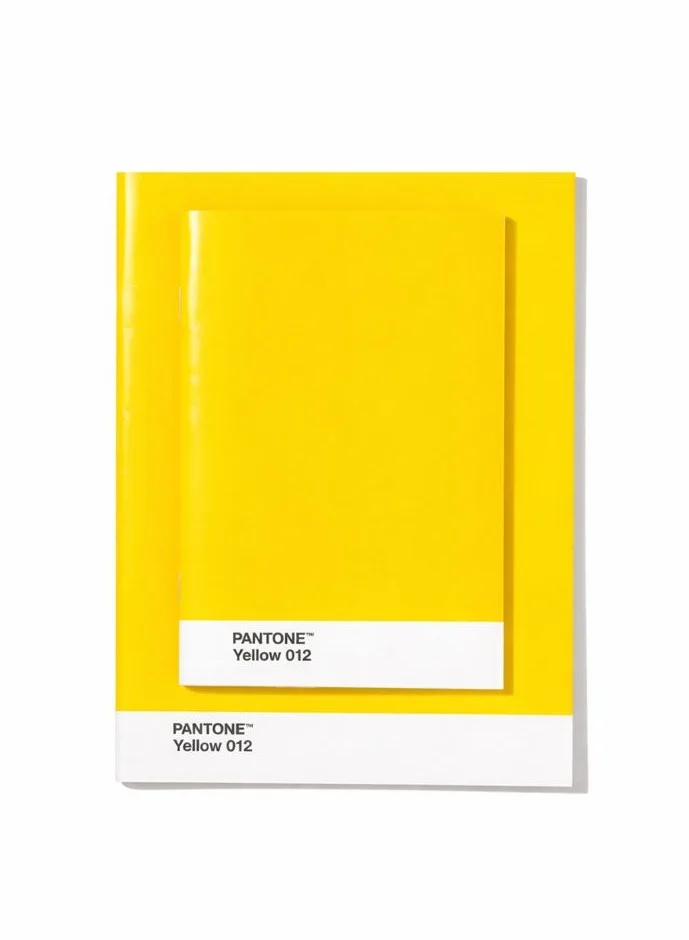 Pantone Booklets Set of 2 – Premium Notebooks – Yellow