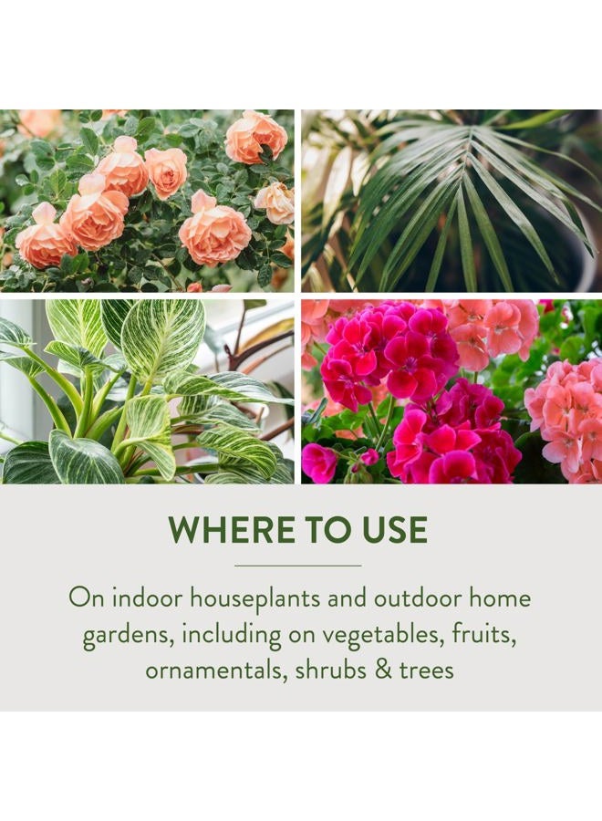 Garden Safe مبيد حشرات النباتات المنزلية والحدائق 2، 32 أونصة سائلة، يقتل 100+ حشرة مدرجة عند الاتصال، للاستخدام في المنازل وحدائق المنازل والبيوت الزجاجية حتى يوم الحصاد - Image 5