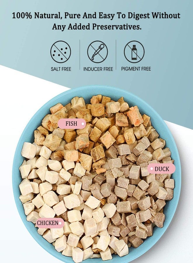 BNYEE 3 in 1 Meat Turtle Food - Chicken & Duck & Fish Meat Natural Freeze Dried Human-Grade Turtle Treats (8 OZ) - Image 2