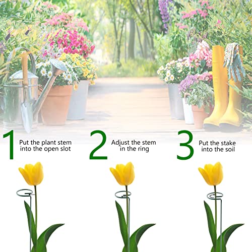 Thealyn 12 Pack 16 Inch Plant Support Stakes, Metal Single stemmed Flower Support Hoops，Garden Plant Stakes Plant Prop for Amaryllis Orchid Lily Rose Peony Tomatoes Gladiolus - Image 4