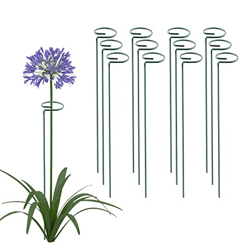 Thealyn 12 Pack 16 Inch Plant Support Stakes, Metal Single stemmed Flower Support Hoops，Garden Plant Stakes Plant Prop for Amaryllis Orchid Lily Rose Peony Tomatoes Gladiolus - Image 1