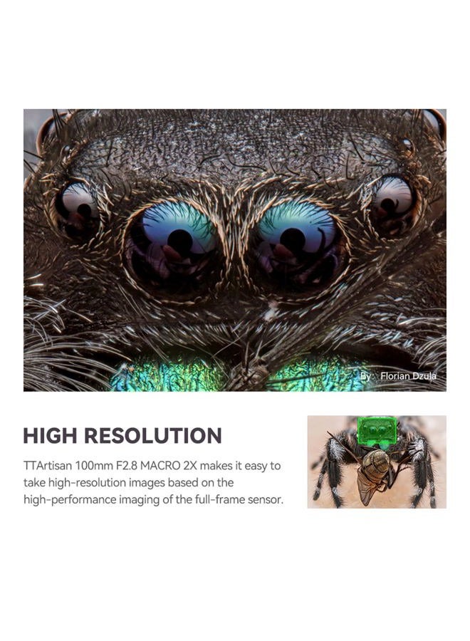 TTArtisan 100mm f/2.8 Macro Lens for Canon RF Mount 2X Magnification Full Frame Manual Focus Mirrorless Camera Lenses EOS R RP R5 R5C R6 R6II R7 R10 R50 R100 - Image 3