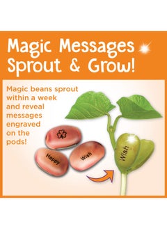 Creativity for Kids Magic Bean Garden Reveal And Grow Magic Messages - Nature And Garden Kit For Kids  - Image 2