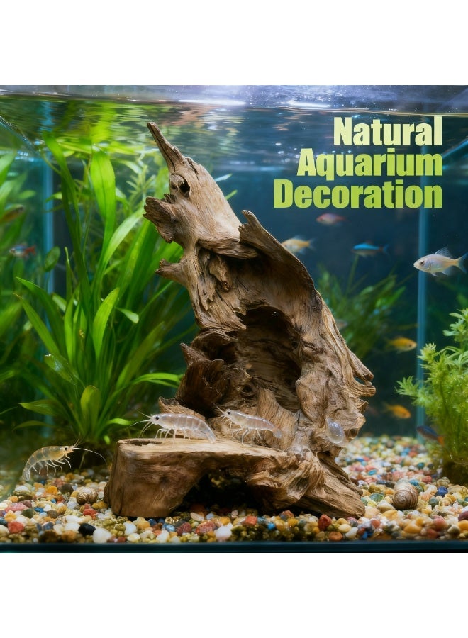 Natural Driftwood Root Decoration  60 × 35 × 25 cm  Rustic Root Sculpture Aquarium & Home Décor Bonsai, Tea Table, Zen Garden & Terrarium Display Handmade Natural Wood - Image 5