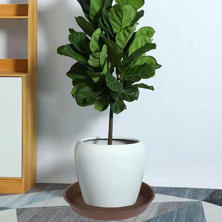 Bleuhome Plant Saucer Dish for Garden (22", Chocolate) - Image 3