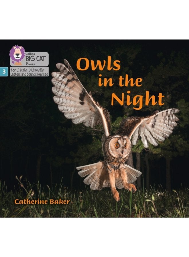 Owls in the Night Phase 3 Set 2 - Paperback
