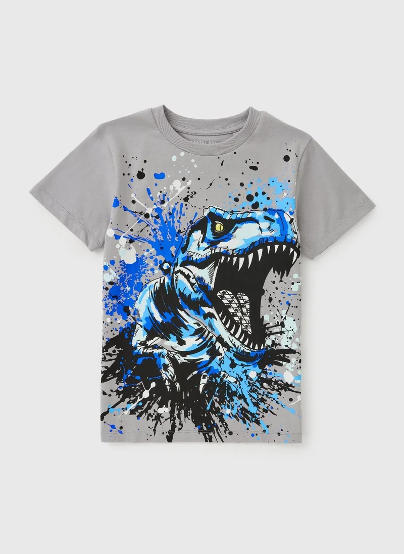 Matalan Boys Grey Dinosaur T-Shirt