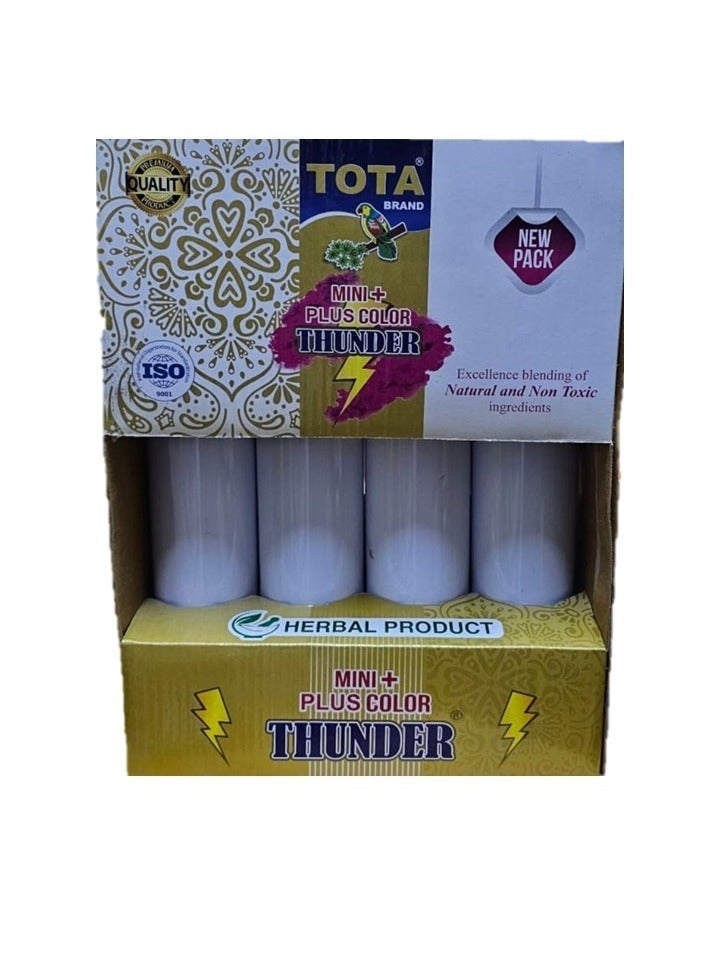 Tota thunder plus large Gulal spray pack of 4, Color blasters - Image 3