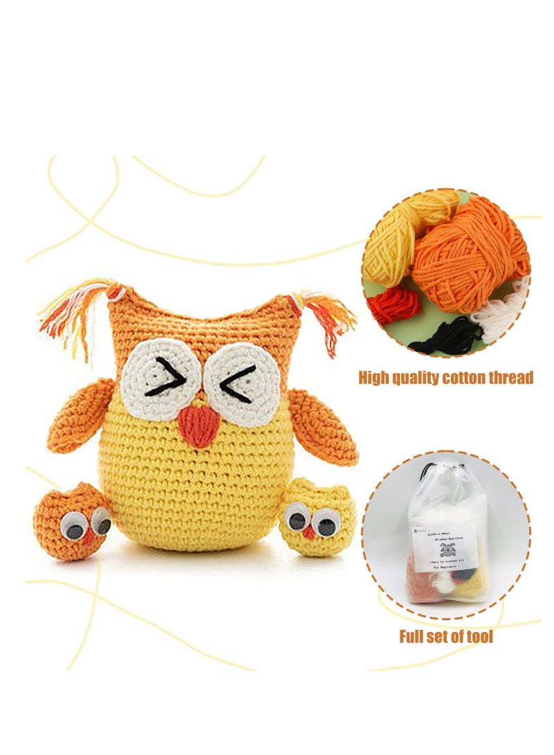 Zikra DIY Crochet Kit for Beginners Create Adorable Crochet Owls Includes Yarn Hooks and Instructions - Image 4