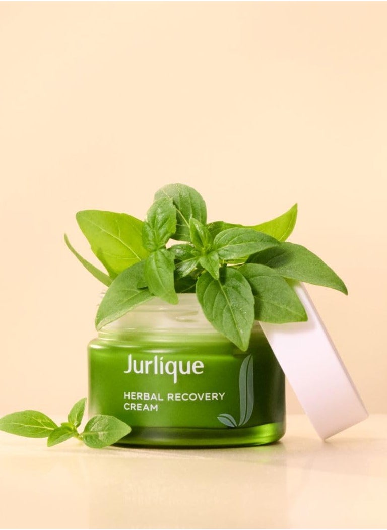 Jurlique Jurlique Herbal Recovery Cream 50 ML  - Image 2