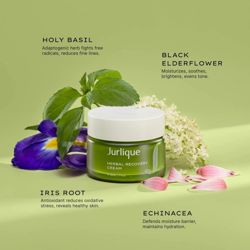 Jurlique Herbal Recovery Cream 50 ML - Image 3