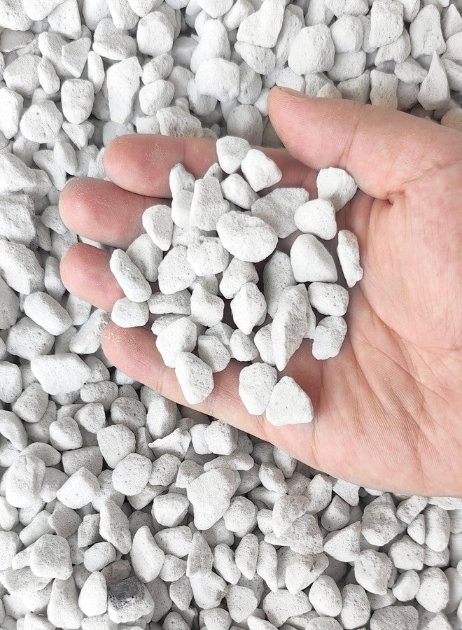 MDPQT 20 QT Professional Grade Horticultural Organic Perlite (20 QT, Large Size - Perlite) - Image 1