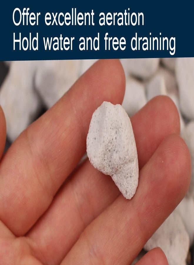 MDPQT 20 QT Professional Grade Horticultural Organic Perlite (20 QT, Large Size - Perlite) - Image 3