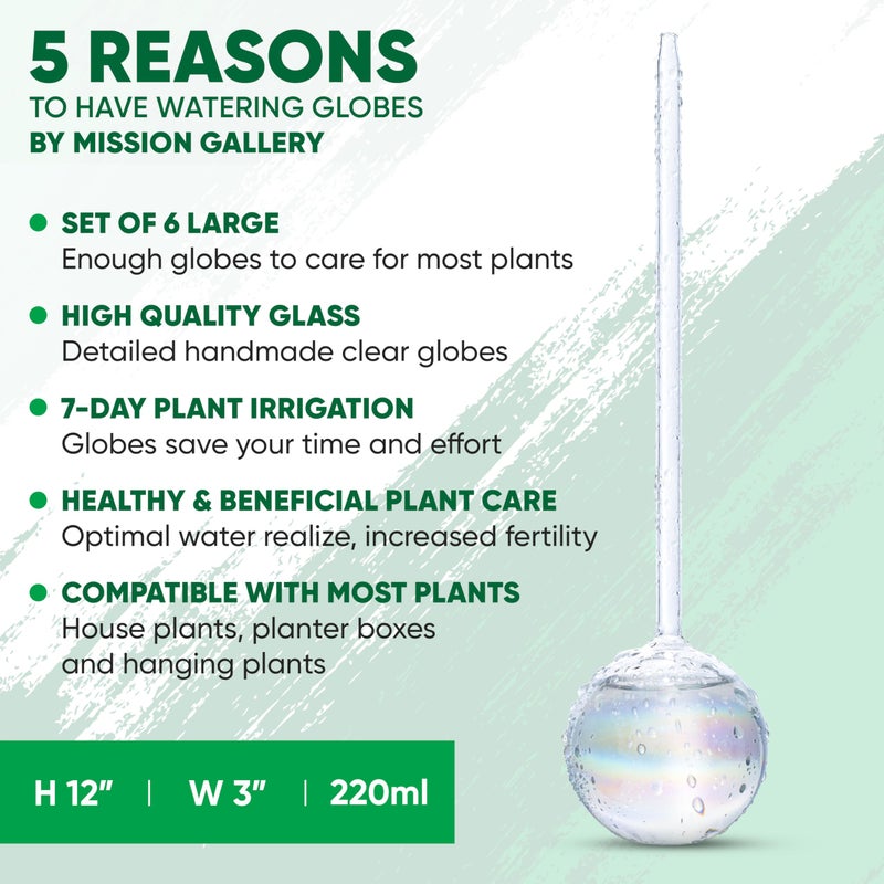 Mission Gallery Clear Plant Watering Globes Set of 6 - Large Self Watering Globes for Indoor & Outdoor Plants - Automatic, Glass Watering Bulbs for Daily Use, Plant Watering Devices - Image 3