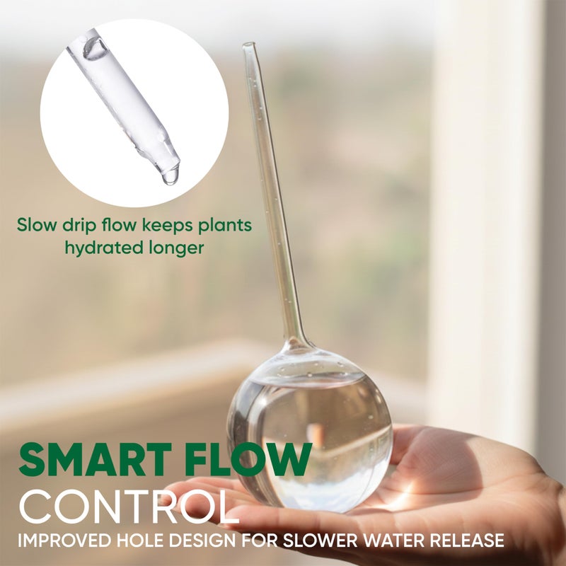 Mission Gallery Clear Plant Watering Globes Set of 6 - Large Self Watering Globes for Indoor & Outdoor Plants - Automatic, Glass Watering Bulbs for Daily Use, Plant Watering Devices - Image 4