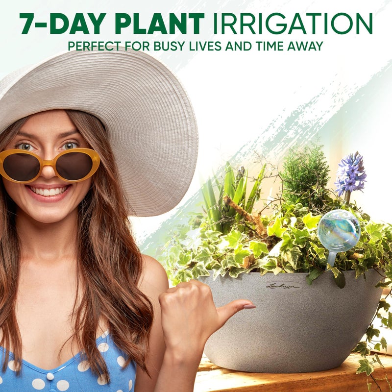 Mission Gallery Clear Plant Watering Globes Set of 6 - Large Self Watering Globes for Indoor & Outdoor Plants - Automatic, Glass Watering Bulbs for Daily Use, Plant Watering Devices - Image 5