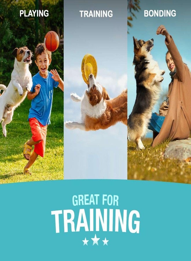 جرهاي طعام جيرهاي ريل ستيك بنكهة الدجاج مع السبانخ والتوت والجزر والفراولة والحليب والموز، مجموعة متنوعة للكلاب في جميع مراحل حياتها (عبوة من 6 قطع × 70 غرام) من دوغز إن كاتس - Image 4