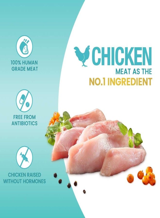 جرهاي طعام جيرهاي ريل ستيك بنكهة الدجاج مع السبانخ والتوت والجزر والفراولة والحليب والموز، مجموعة متنوعة للكلاب في جميع مراحل حياتها (عبوة من 6 قطع × 70 غرام) من دوغز إن كاتس - Image 2