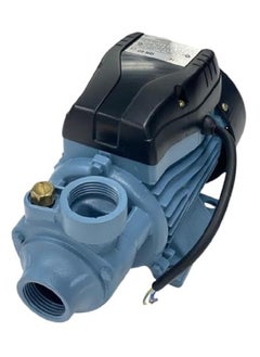 Dynamo pump 1/2 HP (half HP) Hagen - with distinguished German power - reliable performance for water pumping solutions