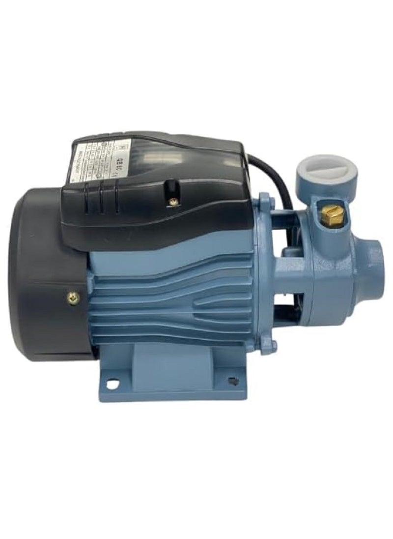 HAGEN - Dynamo pump 1/2 HP (half HP) Hagen - with distinguished German power - reliable performance for water pumping solutions - Image 1