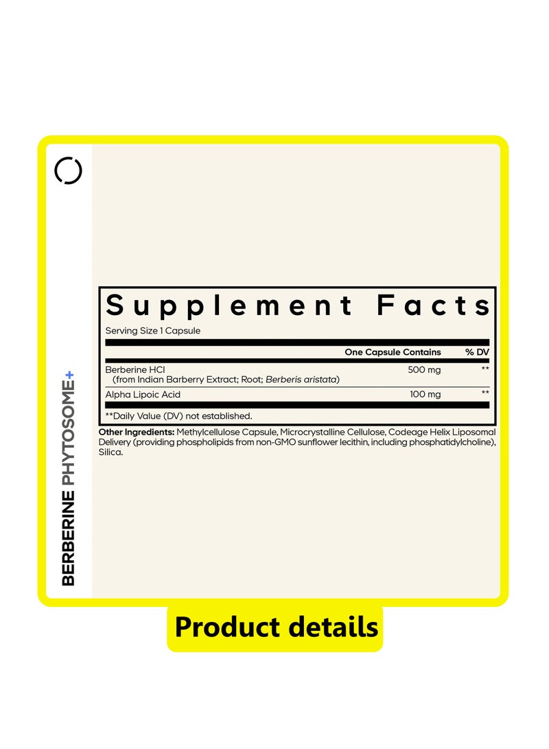 Codeage Berberine Phytosome+, 60 Capsules - Image 2