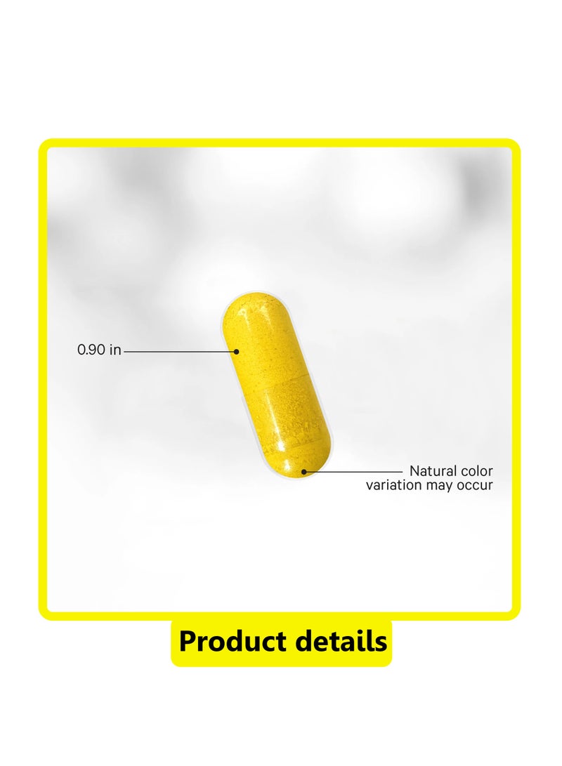 Codeage Berberine Phytosome+, 60 Capsules - Image 3