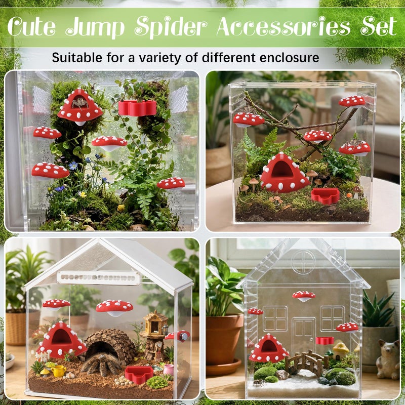 Feekoon Cute Jumping Spider Enclosure Accessories, 6 Pcs Jumping Spider Decor Kit with Mushroom Hide, Platforms and Feeder Dish, Adorable Hideout with Magnetic Mounting for Tarantula, Small Animals - Image 3