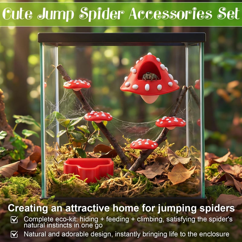 Feekoon Cute Jumping Spider Enclosure Accessories, 6 Pcs Jumping Spider Decor Kit with Mushroom Hide, Platforms and Feeder Dish, Adorable Hideout with Magnetic Mounting for Tarantula, Small Animals - Image 4