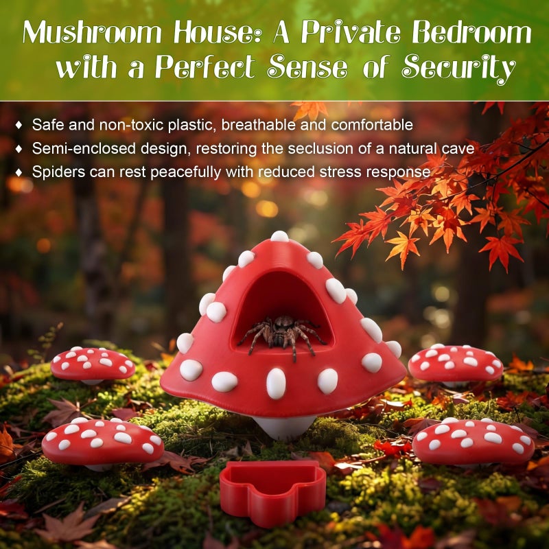 Feekoon Cute Jumping Spider Enclosure Accessories, 6 Pcs Jumping Spider Decor Kit with Mushroom Hide, Platforms and Feeder Dish, Adorable Hideout with Magnetic Mounting for Tarantula, Small Animals - Image 5